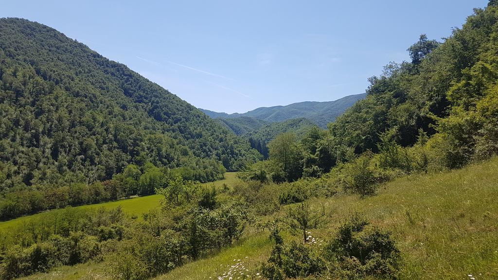 בורגו סן לורנצו Locanda Di Alberi מראה חיצוני תמונה